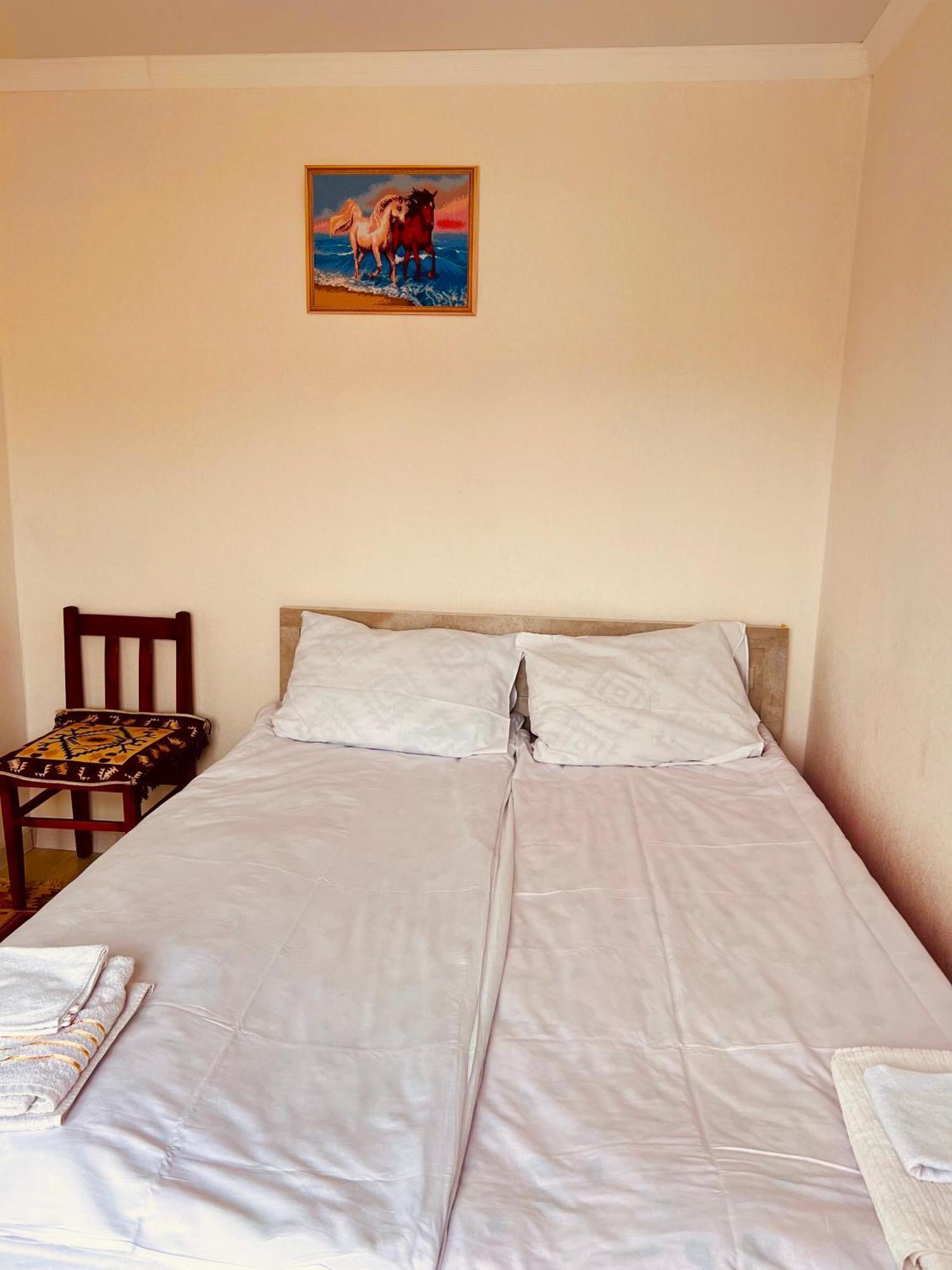 Tumar Guest House Naryn Exterior photo